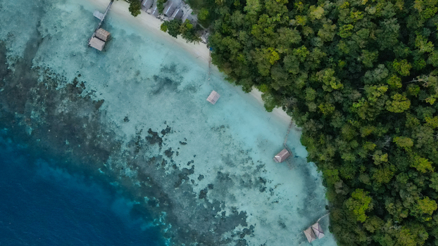 Aerial view of overwater bungalows along a white sand beach surrounded by lush rainforest and turquoise coral reef waters in Raja Ampat Southwest Papua Indonesia.