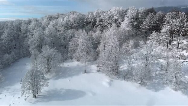 Aerial view of snowy forest in Brasov Romania. Aerial view of snowy forest in Brasov Romania.