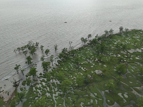 Aerial view of the coastal mangrove forest and marshy landscape along the shoreline in Sitakund Chittagong Division Bangladesh. Aerial view of the coastal mangrove forest and marshy landscape along the shoreline in Sitakund Chittagong Division Bangladesh.