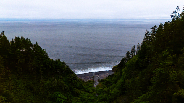 Aerial view of the Lost Coast featuring dense evergreen forests and rugged cliffs overlooking the Pacific Ocean in Humboldt County California United States.