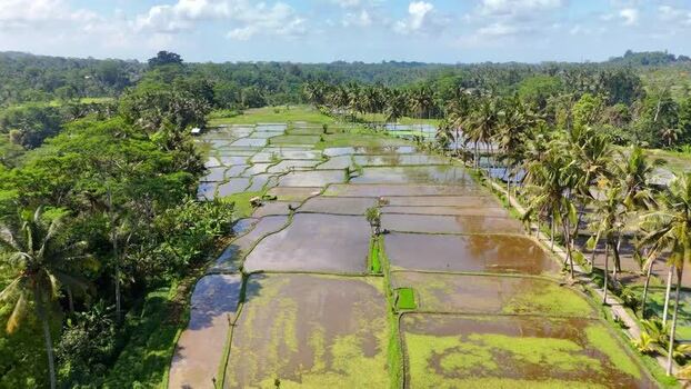 Aerial view of Banjar mancingan Rice trekking and rice fields Indonesia. Aerial view of Banjar mancingan Rice trekking and rice fields Indonesia.