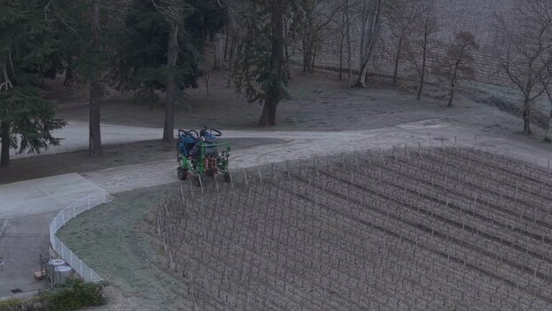 Aerial view of vineyard with tractor France.