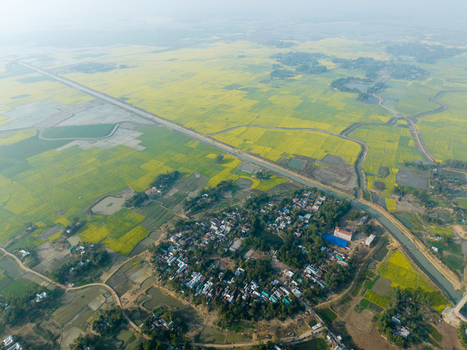 Aerial view of a rural landscape with golden mustard fields meeting a cluster of white roofed houses and a tranquil canal Sirajganj Rajshahi Division Bangladesh. Aerial view of a rural landscape with golden mustard fields meeting a cluster of white roofed houses and a tranquil canal Sirajganj Rajshahi Division Bangladesh.
