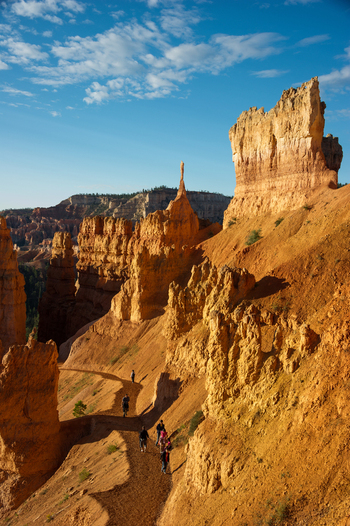 View of Bryce Canyon National Park with hikers walking along a narrow trail surrounded by towering orange hoodoos under a clear blue sky in Utah United States.