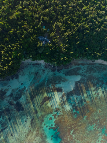 Aerial view of the vibrant turquoise sea meeting the verdant forest edge dappled sunlight dancing on the coral reefs below Goro South Province New Caledonia. Aerial view of the vibrant turquoise sea meeting the verdant forest edge dappled sunlight dancing on the coral reefs below Goro South Province New Caledonia.