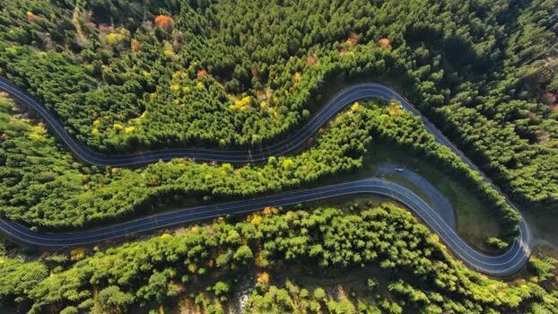 Aerial view of winding road in Transylvania Romania.