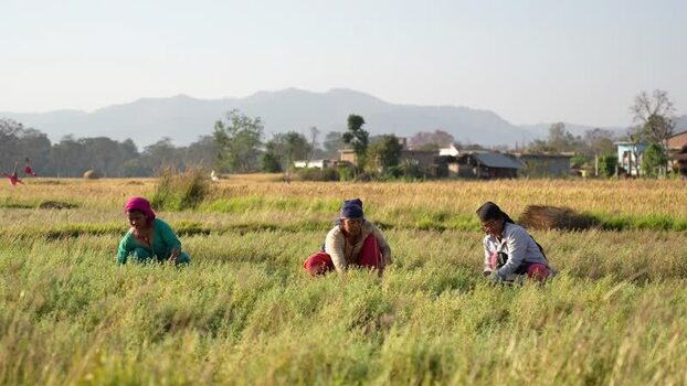 View of women working in a rural field in Dang Nepal.