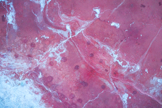 Aerial view of a surreal landscape where crimson waters meet delicate white patterns creating an otherworldly mosaic of color and texture Salt Lake City Utah United States. Aerial view of a surreal landscape where crimson waters meet delicate white patterns creating an otherworldly mosaic of color and texture Salt Lake City Utah United States.