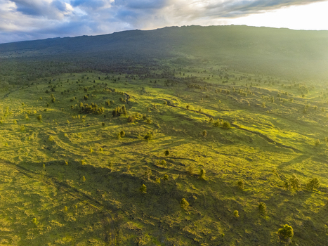 Aerial view of the lush green slopes of Puu Waawaa with scattered trees and volcanic ridges under golden sunlight Hawaii County Hawaii United States. Aerial view of the lush green slopes of Puu Waawaa with scattered trees and volcanic ridges under golden sunlight Hawaii County Hawaii United States.