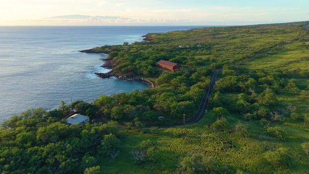 Aerial view of Mahukona Beach Park and the lush coastline United States.