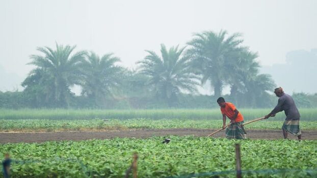 View of farmers working in a field in Bogura Bangladesh.