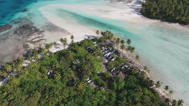 Aerial view of a tropical island with palm trees Maldives.