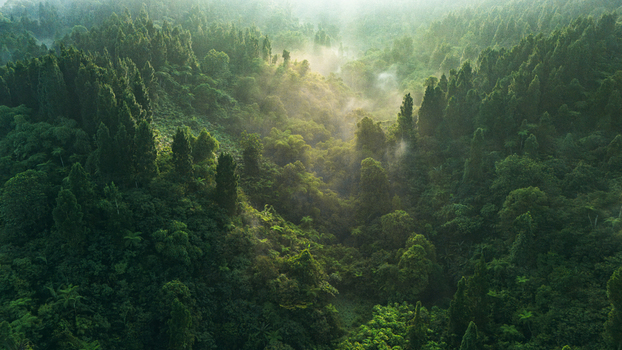 Aerial view of dense tropical forest with mist rising from a valley during golden hour light Sukabumi West Java Indonesia. Aerial view of dense tropical forest with mist rising from a valley during golden hour light Sukabumi West Java Indonesia.
