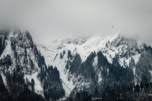 View of snow laden mountains crowned with evergreen trees pierce through the swirling mists a stark contrast of white and green Train from Lucerne Switzerland. View of snow laden mountains crowned with evergreen trees pierce through the swirling mists a stark contrast of white and green Train from Lucerne Switzerland.