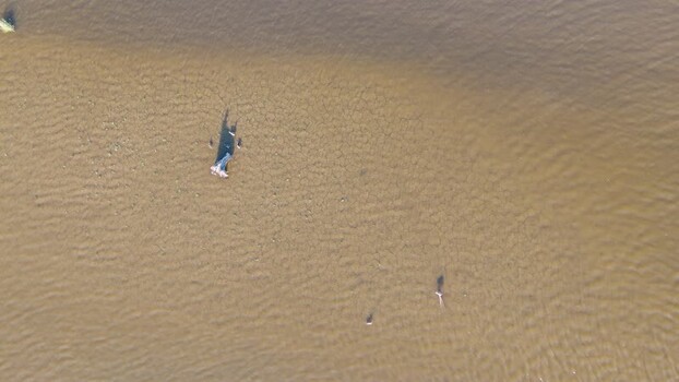 Aerial view of people in shallow water Poland. Aerial view of people in shallow water Poland.