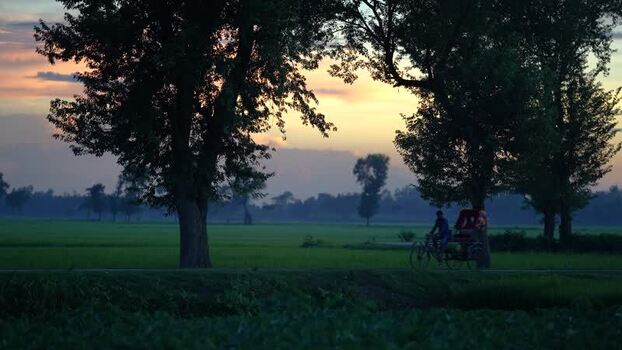 View of a rickshaw puller on a rural road at sunset Bangladesh.
