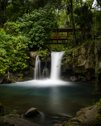 View of the waterfall at Parque Nacional Barranca del Cupatitzio with a wooden bridge above and lush forest surroundings in Uruapan Michoacan Mexico. View of the waterfall at Parque Nacional Barranca del Cupatitzio with a wooden bridge above and lush forest surroundings in Uruapan Michoacan Mexico.