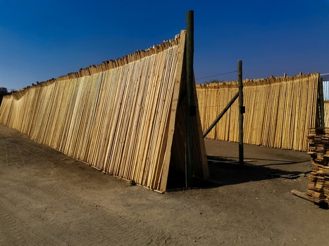 View of neatly stacked wooden planks and poles in a timber yard with lumber arranged for air drying under a clear blue sky in Pretoria Gauteng South Africa. View of neatly stacked wooden planks and poles in a timber yard with lumber arranged for air drying under a clear blue sky in Pretoria Gauteng South Africa.