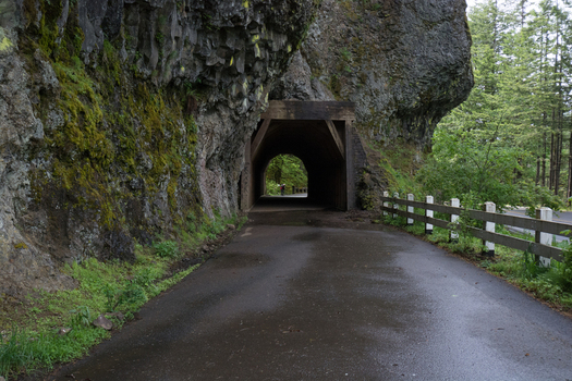 View of the historic Mosier Twin Tunnels carved into basalt rock with a wooden entrance mossy cliffs and a white fence along the road in Hood River Oregon United States.