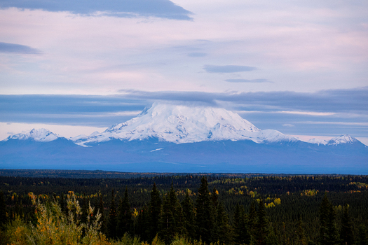 View of a snow capped mountain peak partially obscured by clouds rising above a vast evergreen forest with hints of autumn foliage in Paxson Alaska United States. View of a snow capped mountain peak partially obscured by clouds rising above a vast evergreen forest with hints of autumn foliage in Paxson Alaska United States.