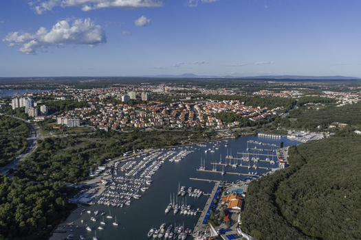 Aerial view of Pjescana Uvala marina with numerous yachts and sailboats docked in the bay surrounded by lush green forests and residential houses in Pula Istarska zupanija Croatia.