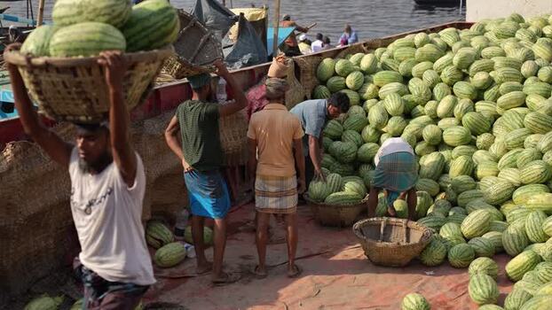 View of workers unloading watermelons at Sadarghat Bangladesh.
