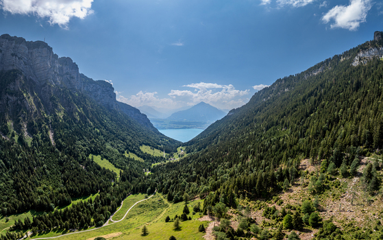 Aerial view of Justistal valley with lush green forests and meadows leading towards Lake Thun under a clear sky with distant mountains in Sigriswil Bern Switzerland. Aerial view of Justistal valley with lush green forests and meadows leading towards Lake Thun under a clear sky with distant mountains in Sigriswil Bern Switzerland.