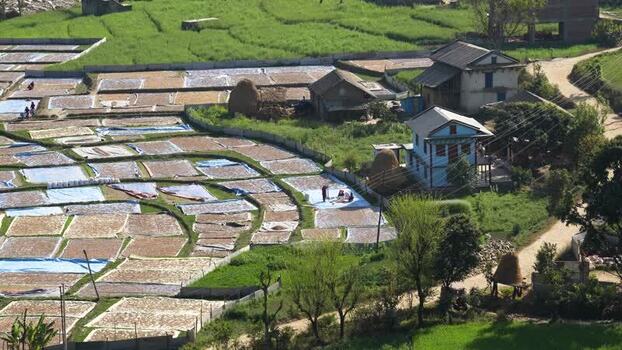 View of farmers drying crops in a rural village Nepal.