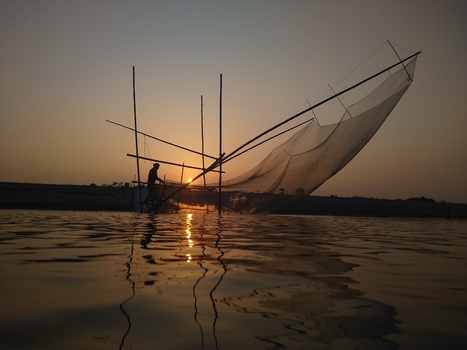 View of a fisherman using a traditional lift net at sunset on the river in Kushtia Khulna Division Bangladesh. View of a fisherman using a traditional lift net at sunset on the river in Kushtia Khulna Division Bangladesh.