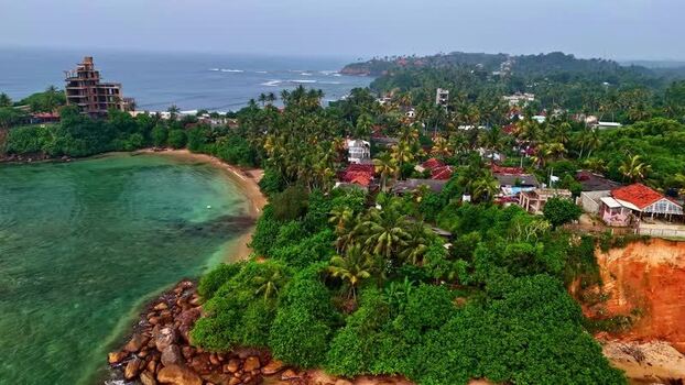 Aerial view of the lush coastline and tropical palm trees Sri Lanka.