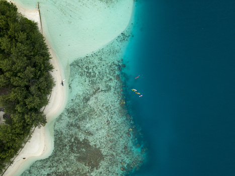 Aerial view of the coastline meeting the tranquil turquoise waters contrasting with the deep blues of the open sea Menjangan Kecil Island Karimunjawa Indonesia.