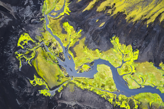 Aerial view of a winding river system flowing through dark volcanic terrain and vibrant green moss near the F232 road in Skaftarhreppur Iceland.