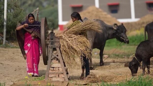 View of women using a manual chaff cutter in a rural farm India.