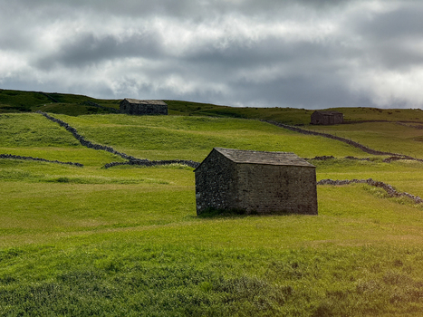 View of traditional stone barns and dry stone walls across the rolling green hills of the Yorkshire Dales under a cloudy sky Hawes England United Kingdom. View of traditional stone barns and dry stone walls across the rolling green hills of the Yorkshire Dales under a cloudy sky Hawes England United Kingdom.