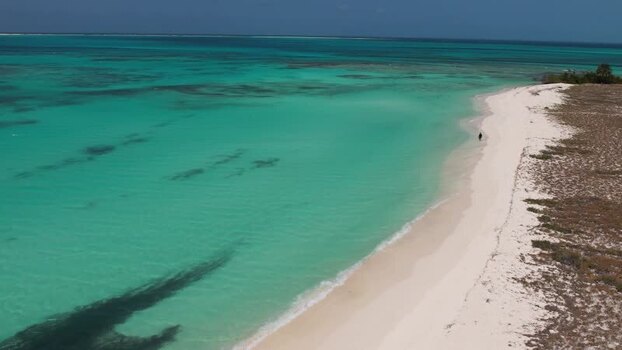 Aerial view of Los Roques archipelago beach Venezuela.