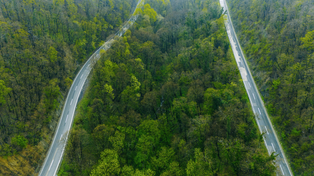 Aerial view of winding roads cutting through a dense forest the vibrant green canopy contrasting with the grey asphalt Novi Sad Vojvodina Serbia. Aerial view of winding roads cutting through a dense forest the vibrant green canopy contrasting with the grey asphalt Novi Sad Vojvodina Serbia.