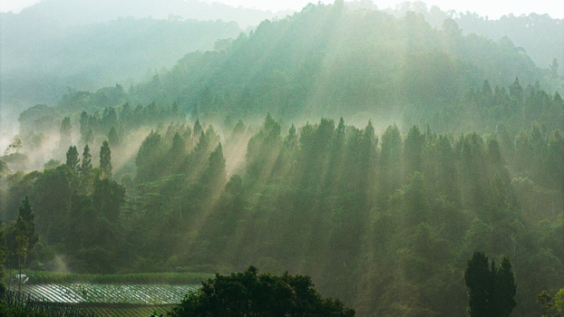 Aerial view of lush green forest with sunbeams piercing through morning mist over agricultural fields and rolling hills in Sukabumi West Java Indonesia. Aerial view of lush green forest with sunbeams piercing through morning mist over agricultural fields and rolling hills in Sukabumi West Java Indonesia.