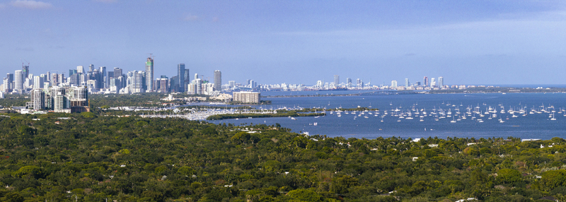 Aerial view of the lush green canopy overlooking the bay filled with sailboats and the distant Miami skyline under a clear blue sky Coral Gables Florida United States.