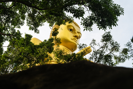 View of the massive Golden Buddha statue framed by lush green tree branches and dark rocks Dambulla Central Province Sri Lanka.