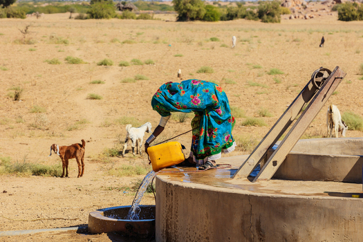 View of a woman in a vibrant traditional dress fetching water from a concrete well for her goats in the arid landscape of Nagarparkar Sindh Pakistan.