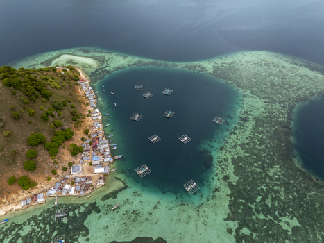 Aerial view of the coastal village on Pulau Kukusan with traditional fish farms floating in the turquoise waters of the coral reef in Komodo East Nusa Tenggara Indonesia. Aerial view of the coastal village on Pulau Kukusan with traditional fish farms floating in the turquoise waters of the coral reef in Komodo East Nusa Tenggara Indonesia.