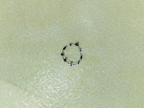 Aerial view of a small circle of objects in the middle of a light green field Karimunjawa Central Java Indonesia.