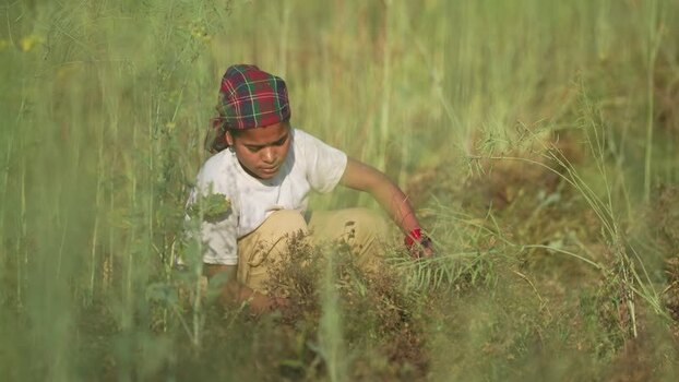 View of a young woman working in a field in Dang Nepal.