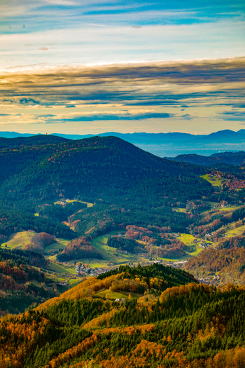 View of the rolling hills and dense autumn forests of the Black Forest landscape under a layered sky Offenburg Baden Wurttemberg Germany. View of the rolling hills and dense autumn forests of the Black Forest landscape under a layered sky Offenburg Baden Wurttemberg Germany.