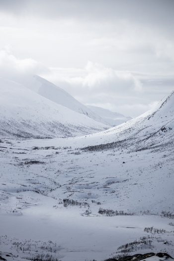 View of a vast snow covered mountain valley with sparse winter vegetation under a cloudy sky in Ersfjord Troms Norway. View of a vast snow covered mountain valley with sparse winter vegetation under a cloudy sky in Ersfjord Troms Norway.