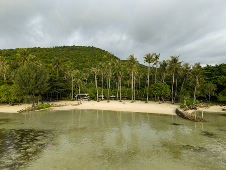 Aerial view of Bobby Beach s serene shoreline where crystal clear waters meet the soft white sand beneath swaying palm trees Karimunjawa Jawa Tengah Indonesia.