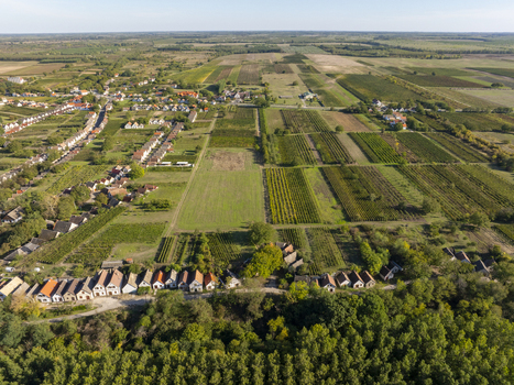 Aerial view of Hajos pincefalu a historic wine cellar village with traditional white buildings surrounded by vast vineyards and agricultural fields in Hajos Hungary. Aerial view of Hajos pincefalu a historic wine cellar village with traditional white buildings surrounded by vast vineyards and agricultural fields in Hajos Hungary.