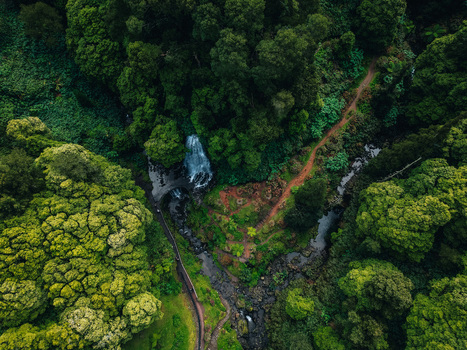 Aerial view of a secluded waterfall cascading into a dark stream embraced by verdant forests and a winding path Achada Açores Portugal. Aerial view of a secluded waterfall cascading into a dark stream embraced by verdant forests and a winding path Achada Açores Portugal.