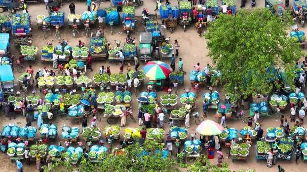 Aerial view of a busy mango market with vendors Bangladesh.