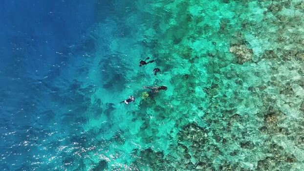 Aerial view of people snorkeling over a coral reef Maldives. Aerial view of people snorkeling over a coral reef Maldives.